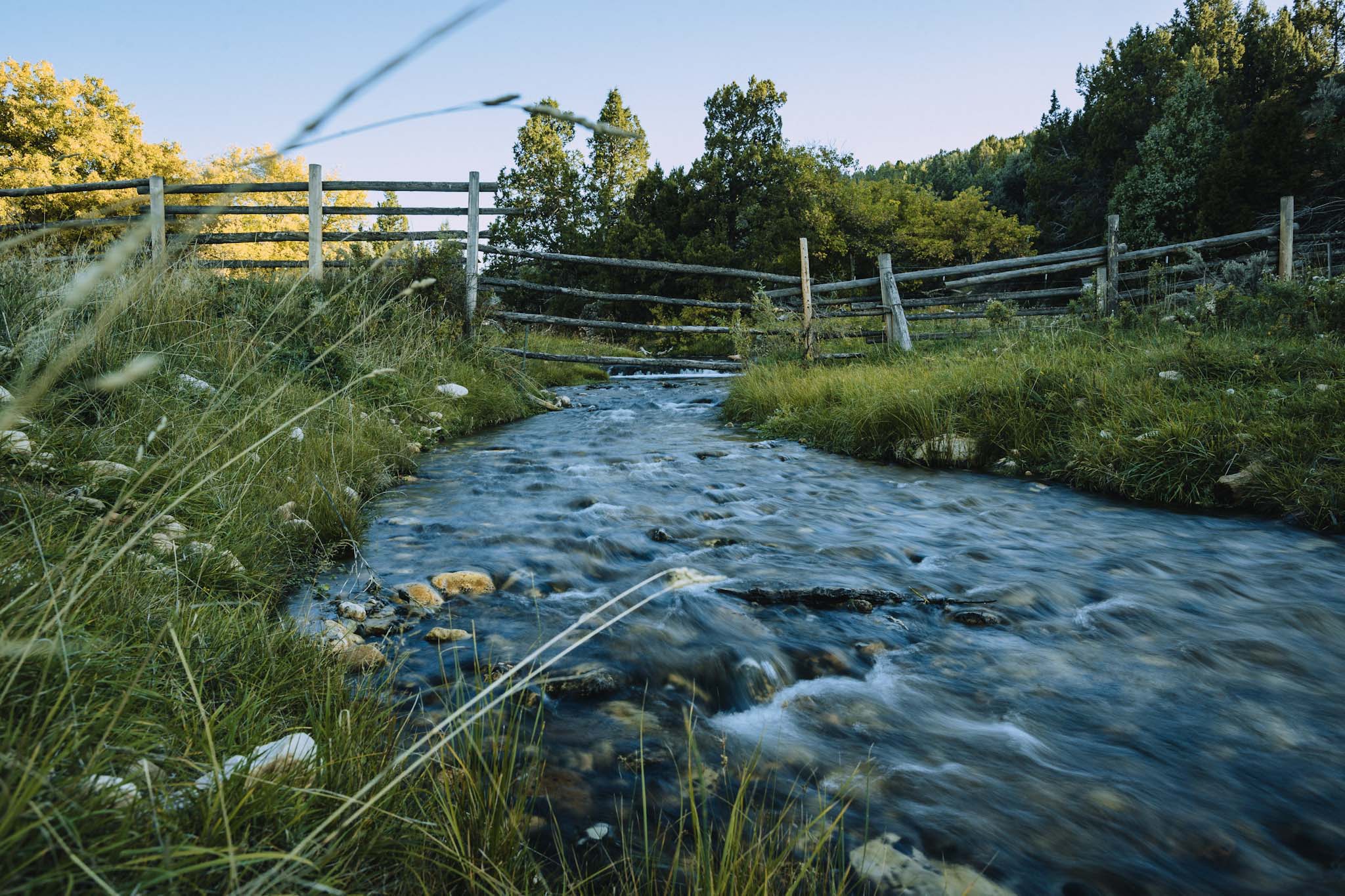 how-natural-groundwater-benefits-our-cattle-and-your-beef